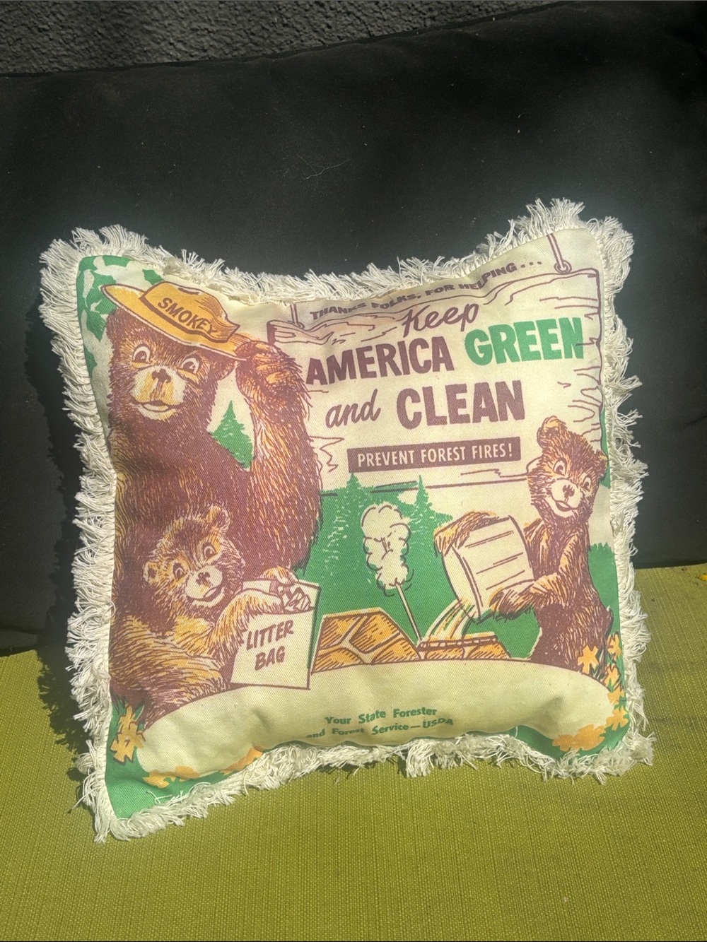 SMOKEY BEAR VINTAGE PILLOW: Keep America Green and Clean